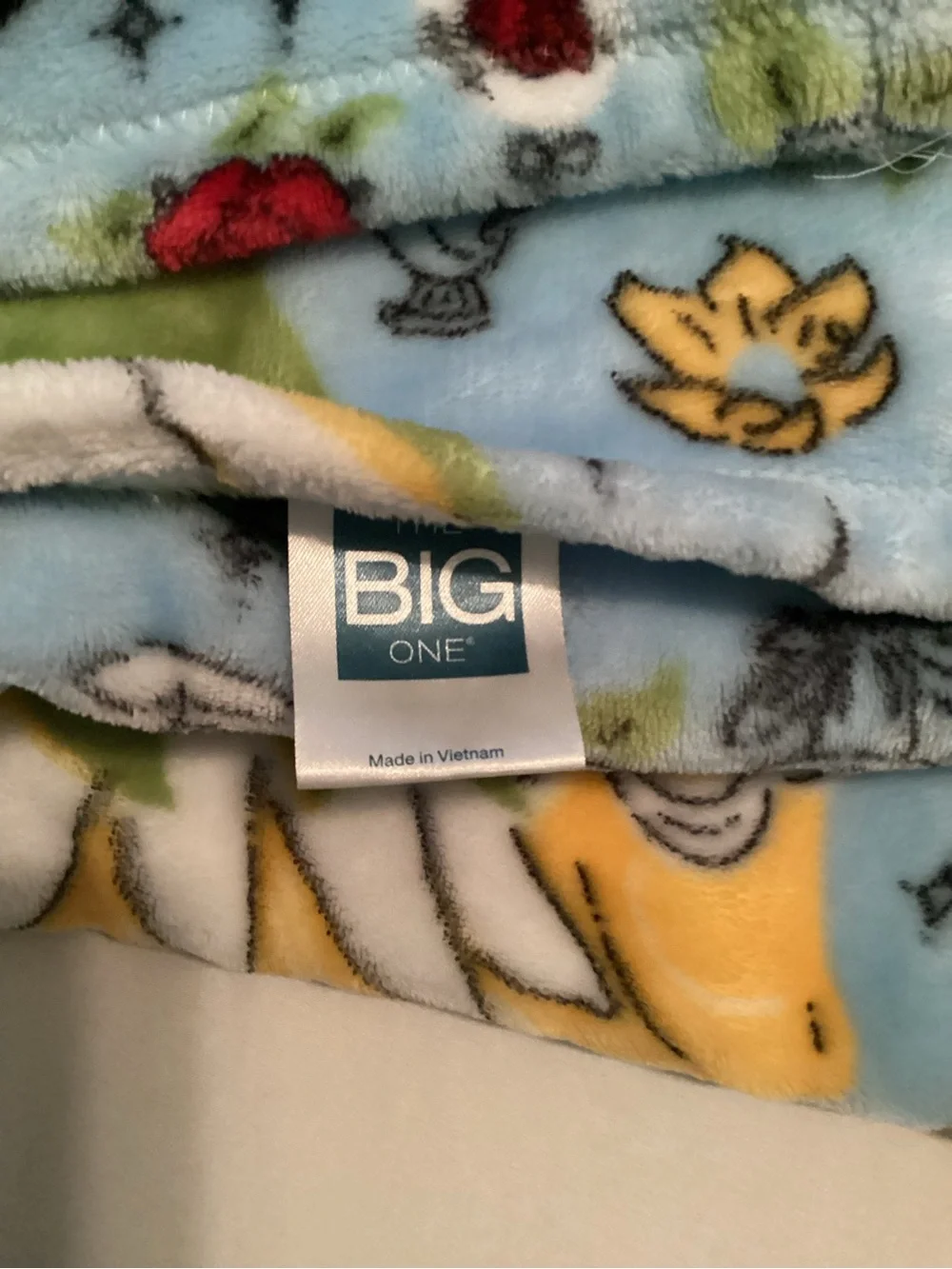 Disney The Big One Princecess Belle & Tiana 100% Polyester Blanket Throw